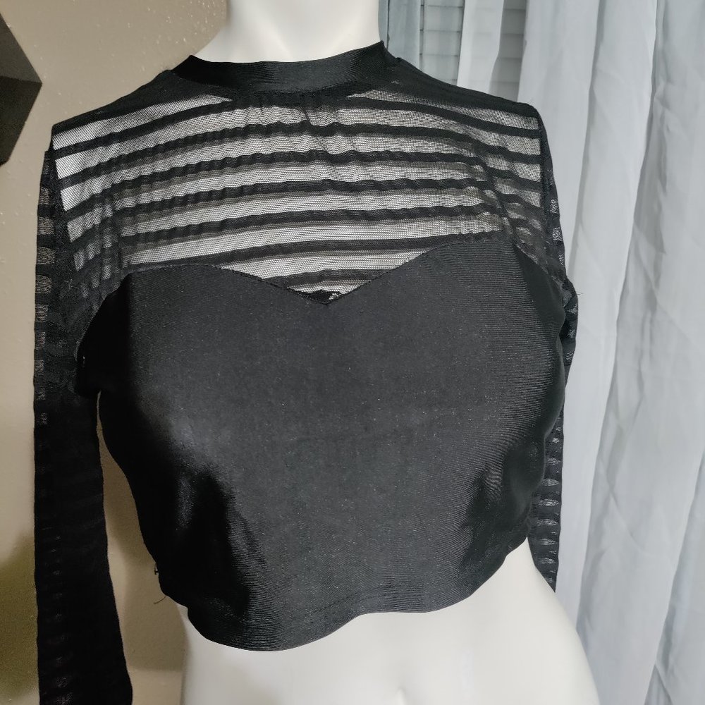 Modern - Sheer Long Sleeve Crop Top